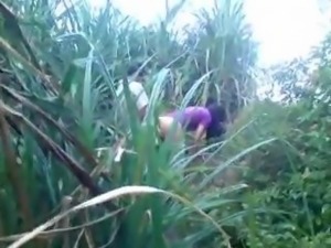 Indian college couple caught fucking in sugarcane fields lol