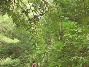 Nude walking in the wood 2